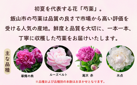 芍薬 切花 おまかせ2〜3品種 20本セット【2026年5月上旬より出荷】(Ca-001)