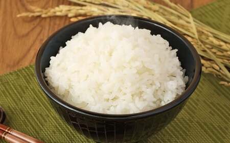 【6ヶ月定期便】無洗米 食味鑑定士厳選 夢つくし 20kg （5kg×4袋） お米 米 白米 食品 ご飯 飯 6ヶ月 定期便 5kg 4袋