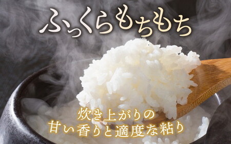 令和7年産 コシヒカリ 無洗米 5kg| お米 白米 米 こめ コメ ご飯 農家直送 ふるさと納税米 国産 常温 栃木県 塩谷町 ※2026年2月中旬～9月中旬頃に順次発送予定
