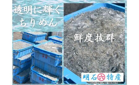 ほんまにうまい 明石前浜セット 魚貝類 タコ ちりめん 