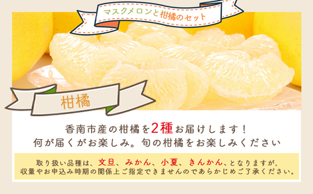 【2026年11月発送】マスクメロン&柑橘2種セット yr-0111