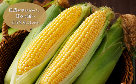 北海道芦別市産 とうもろこし ミルキースイーツ 朝採れ 当日出荷 数量限定 生食可 FuSa vineyard 夏野菜