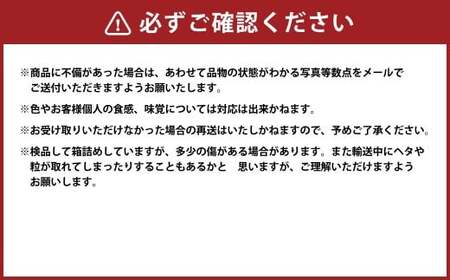 （訳あり） ブラックビート 2房 約1.1～1.2kg ぶどう ブドウ 葡萄 果物 くだもの フルーツ 常温 【2026年8月上旬～9月下旬迄発送予定】