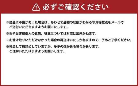 （訳あり） ブラックビート粒 約600g（約300g×2パック） ブラックビート ぶどう ブドウ 葡萄 果物 くだもの フルーツ 常温  【2026年8月上旬～9月下旬迄発送予定】