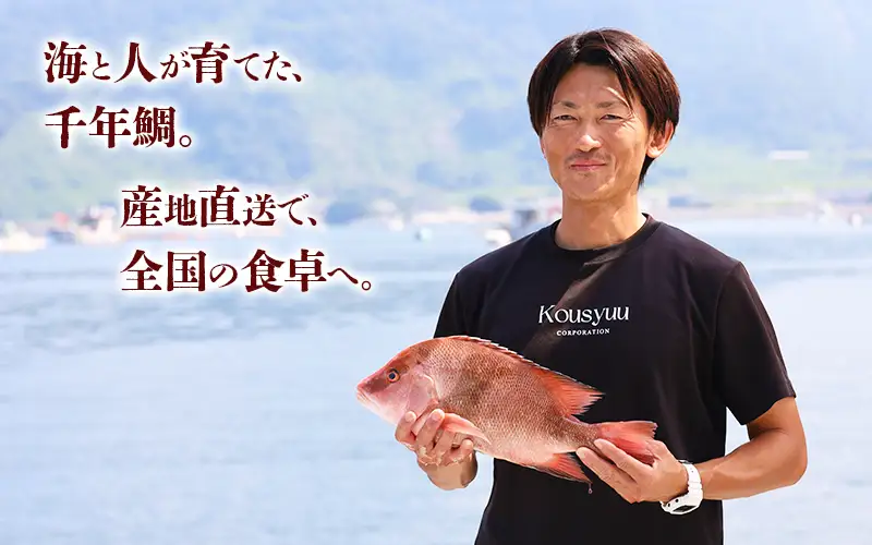 C3-7710／康秀の千年鯛 刺し身スライス 4皿