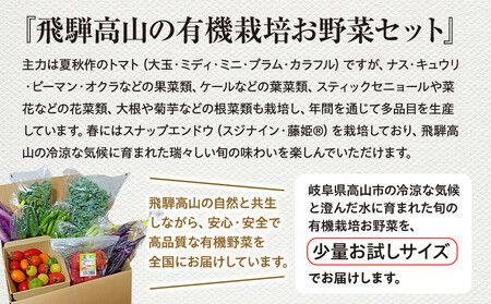 飛騨高山産 季節の有機栽培お野菜セット（お試し）お届け：6月〜10月｜お試し 新鮮  有機野菜 旬野菜 地元野菜 やさい 農園 高山市 山藏農園 JC021