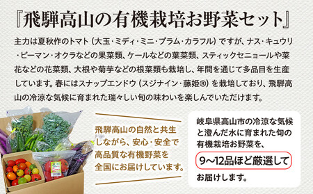 贈り物にも！夏秋の旬を詰めた飛騨高山の有機栽培お野菜ギフト｜夏野菜 秋野菜 新鮮  有機野菜 旬野菜 地元野菜 やさい 農園 高山市 山藏農園 JC023