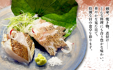 C3-7709／康秀の千年鯛 皮付き ロイン 4本 ＆ カマ 2個付