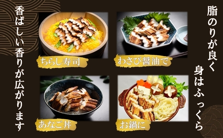 【職人の技】【明石名物】ほんまにうまい！焼あなご大2串  たっぷり〈工場直送〉秘伝のたれ付　老舗　焼きたて　冷蔵　素材を生かした味付け　こだわり　おすすめ グルメ　海鮮　海産物　寿司　穴子丼　焼穴子　焼き穴子　穴子　アナゴ　【魚六商店】