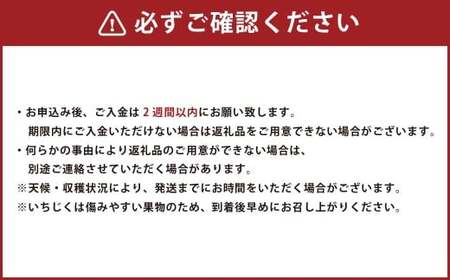 福岡県ブランド いちじく 「博多とよみつひめ」 約300g×4パック （計約1.2kg） 【2026年8月下旬～2026年10月下旬発送予定】 とよみつひめ 無花果 イチジク 果物 フルーツ 九州 福岡県 香春町 冷蔵