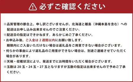 福岡県ブランド キウイフルーツ 「博多甘うぃ」 化粧箱 大玉9玉 約1.4kg 【2026年11月上旬～11月下旬発送予定】 キウイ 果物 フルーツ 九州 福岡県 香春町 冷蔵