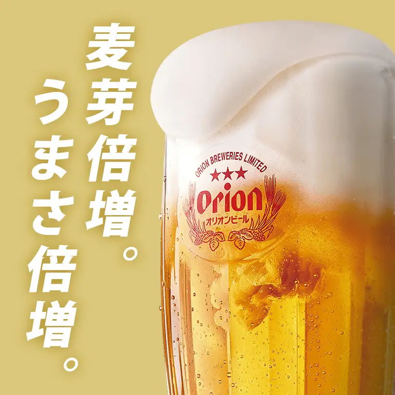 麦職人 350ml×12缶 化粧箱 36-37