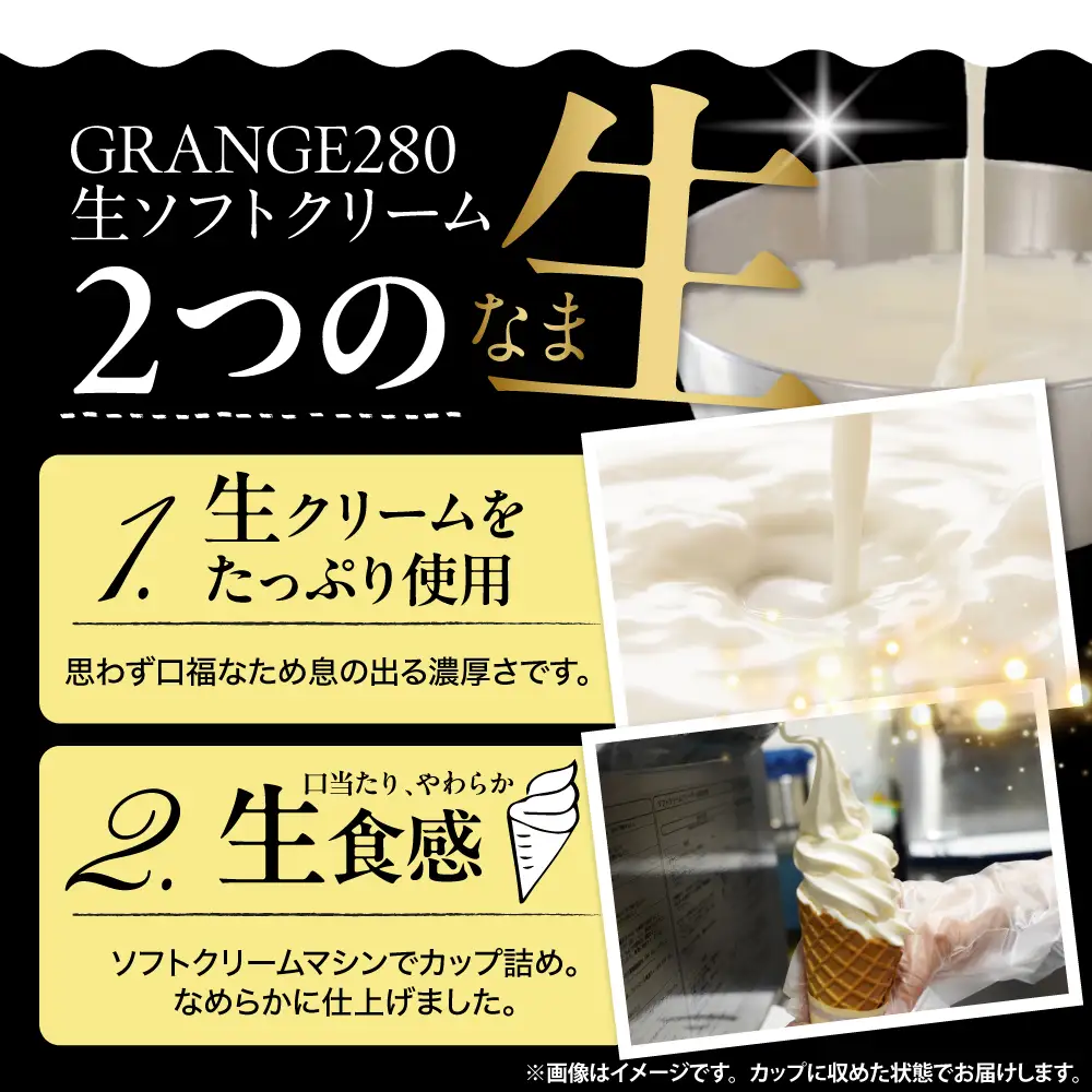 生ソフトクリーム【濃厚クリーム】計10個 ソフトクリーム