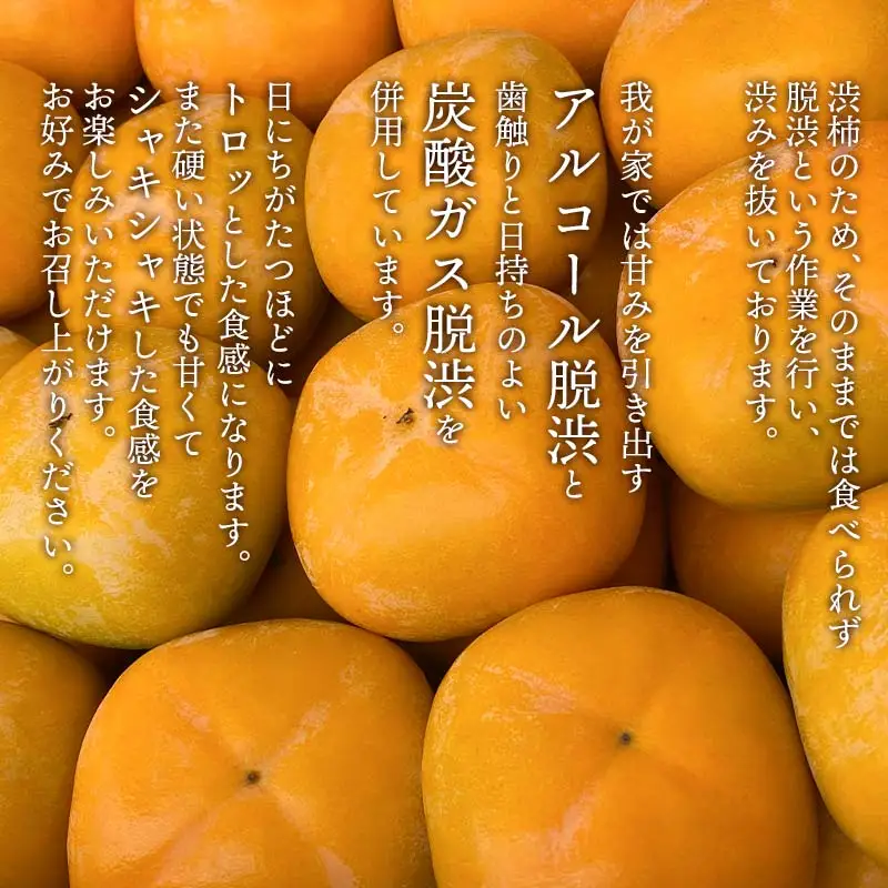 【令和8年産先行予約】家庭用庄内柿 たねなし柿 平核無柿 脱渋済み 約2kg（12～18玉）　山形県鶴岡市　重ちゃん農園