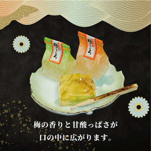 梅ごころ 10個入 化粧箱入り 梅 ゼリー 和菓子 亀屋芳邦