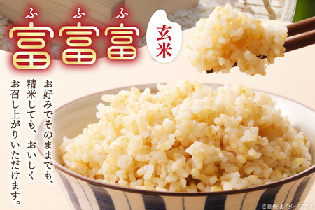 米 令和7年産 富富富 玄米 10kg [アグリ金山 富山県 朝日町 34310578]
