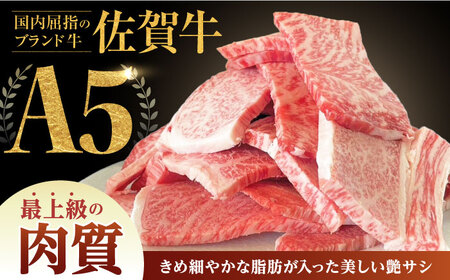【訳あり】 佐賀牛 焼肉セット 500g 【山下牛舎】[HAD165]