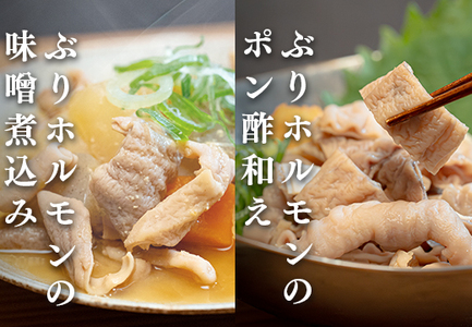 ぶりホルモン 3kg 希少部位 養殖ブリ 鰤 内臓 珍味 おつまみ 下処理済み 魚 海鮮 魚介 高知