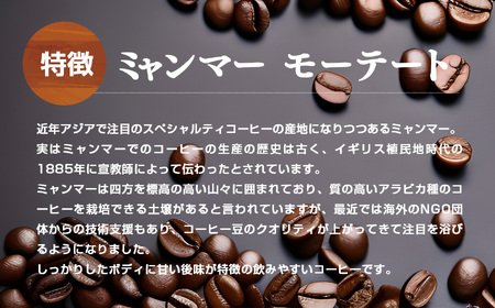 【 お試し 】 ミャンマーモーテート コーヒー ( 豆 ) 200g