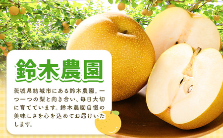【2026年先行予約】とっくんちの梨 にっこり 約3kg 鈴木農園《9月下旬-10月中旬頃出荷》茨城県 結城市 数量限定 果物 フルーツ 甘み ジューシー 豊か 芳香 しゃりっ 爽やかな 季節【配送不可地域あり】(離島)