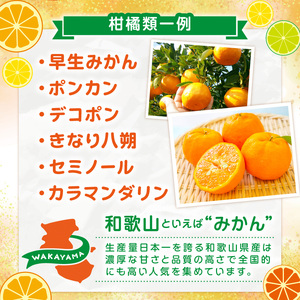 【8070】JAわかやま紀州　柑橘勢ぞろい　セット　7回　定期便