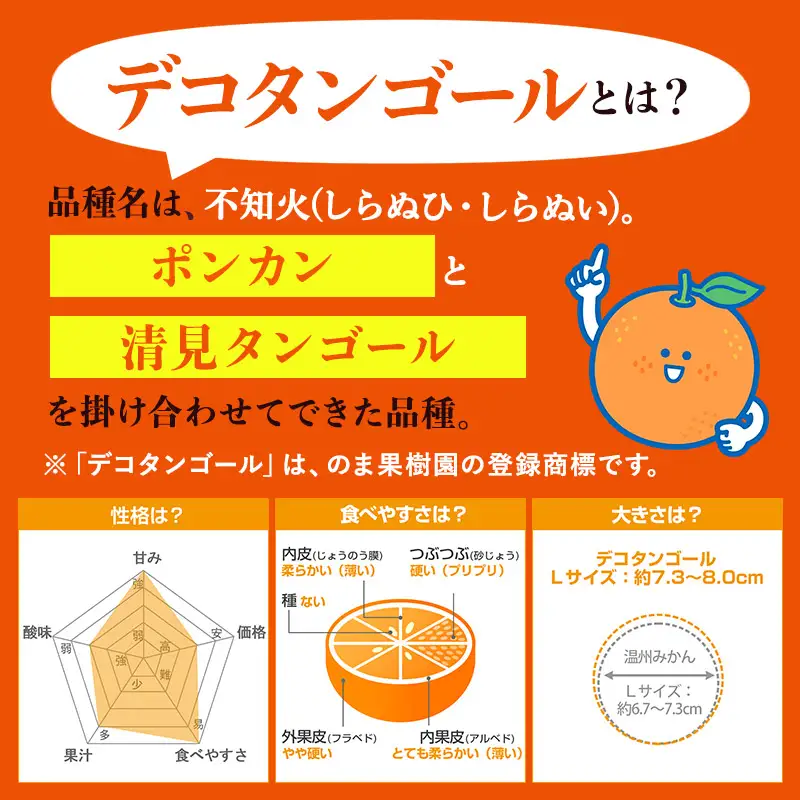 【先行予約】デコタンゴール （2kg） 
