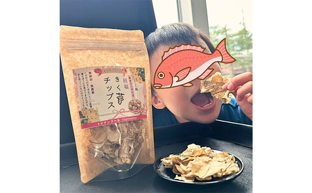 【定期便・全3回】きく芋チップス 3袋セット×3回　菊いも　きく芋　菊芋　新潟県上越産　芋　いも　イモ