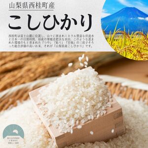 【2026年発送分先行予約】山梨県西桂町産コシヒカリ【精米】  国産 こしひかり  5キロ 2026年秋頃より順次発送予定【n0670-05_gou】