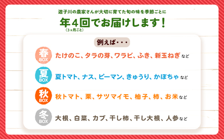 ＜旬の採れたて野菜が詰まったお楽しみBOX（3か月ごと年4回の定期便）＞ 西予市遊子川産 農家さんの顔が見える野菜 定期便 野菜 食べて応援 特産品 遊子川ザ・リコピンズ 愛媛県 西予市【常温】『【1回目】毎月末日までの申込で翌月中旬より順次発送』SYR0009
