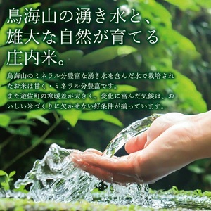 遊佐町産ひとめぼれ5kg （令和7年産米）6月下旬 [1416R07M06c]　