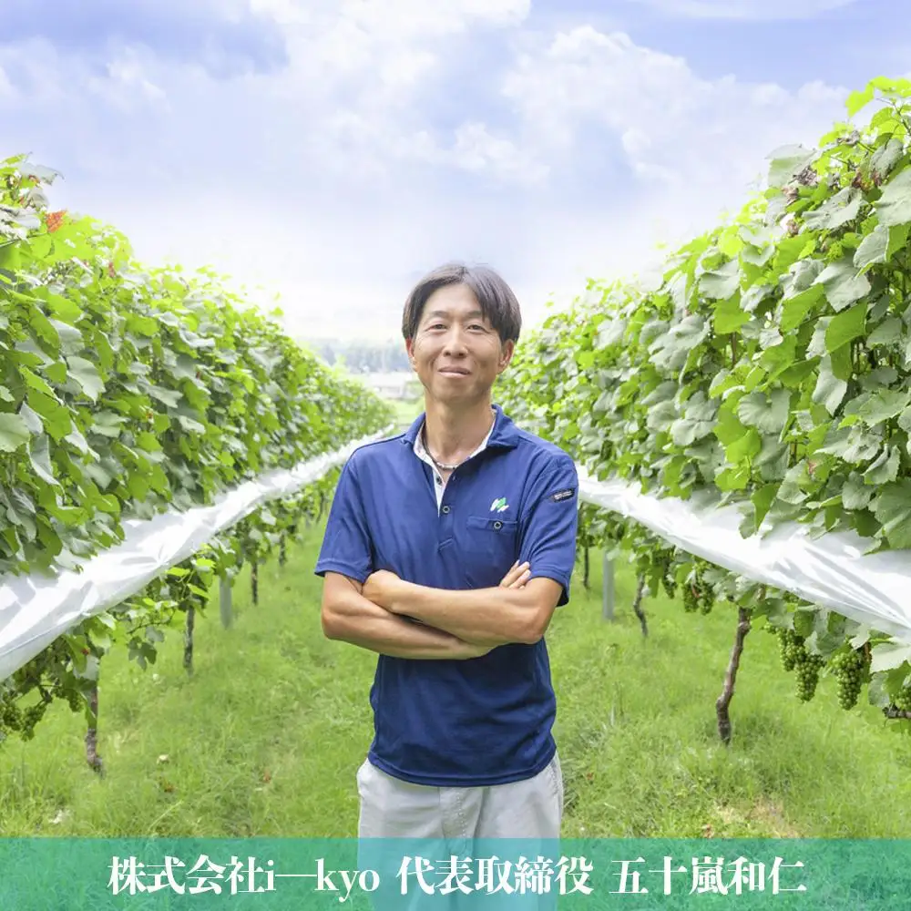 水沢（すいざわ）ワイン 日本有数のかぶせ茶の特産地で生まれた美味しいCUVEE MOMIJI （キュベ モミジ）アッサンブラージュルージュ (2025) 750ml（限定22本お早めに）【ワイン 国産 Made in Japan 赤ワイン メルロー 辛口 日本ワイン 数量限定 国産ワイン 銘品 贈り物 ギフト プレゼント お祝い 記念日 誕生日 お取り寄せ 三重県 四日市市 ふるさと納税】