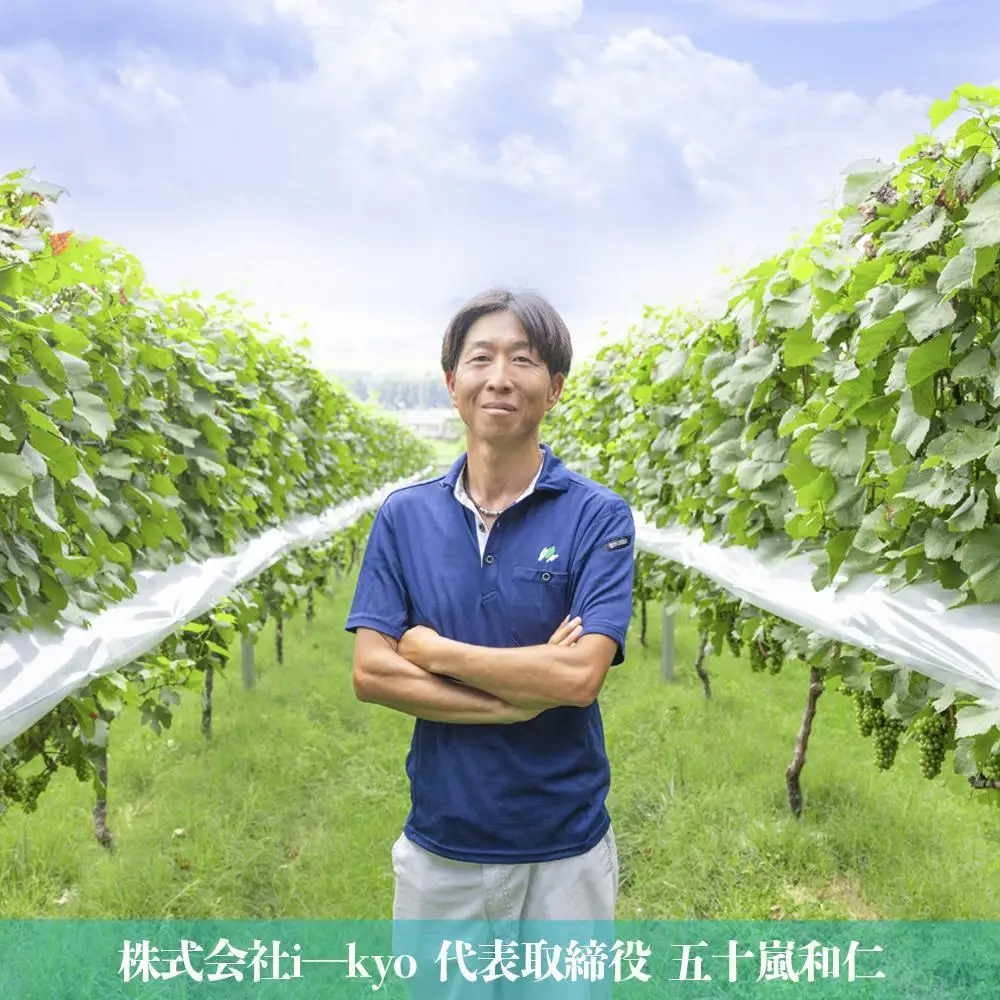 水沢（すいざわ）ワイン 日本有数のかぶせ茶の特産地で生まれた美味しい白ワイン。CUVEE MOMIJI （キュベ モミジ）シャルドネ(2025) 750ml（限定22本お早めに）【ワイン 水沢 水沢ワイン 国産 Made in Japan 白ワイン 白 シャルドネ 辛口 日本ワイン 三重県産 地場産品 贈り物 ギフト プレゼント お祝い 記念日 誕生日 お取り寄せ 三重県 四日市市 ふるさと納税】
