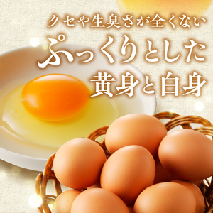 【ふるなび限定】【月2回お届け・12ヶ月定期便】”忍野の卵”コクの赤玉30個×24回 ※割れ保証含む　FN-Limited-SP
