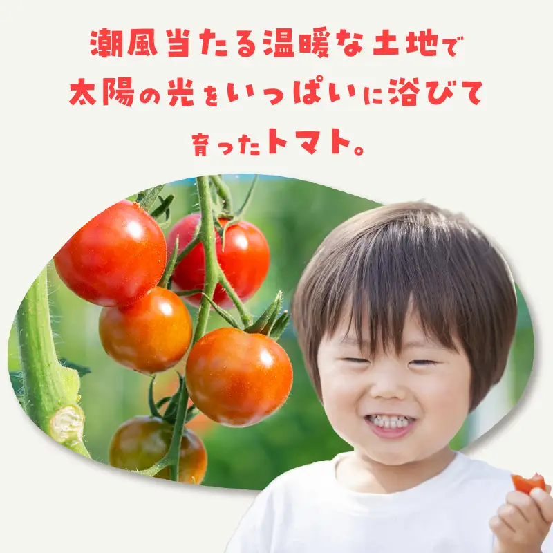 【5月中旬以降発送】フルーツトマト　フラガール1kg（へたなし）