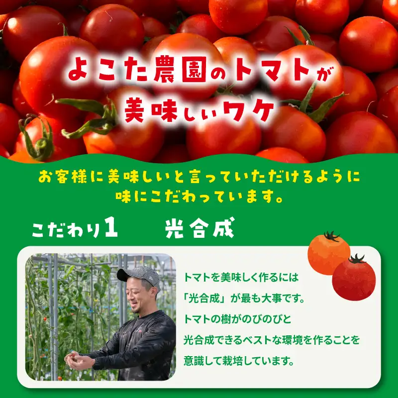 【5月中旬以降発送】フルーツトマト　フラガール1.4kg（へたなし）