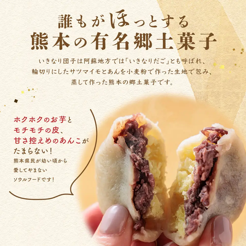 熊本郷土菓子 いきなりだんご 10個