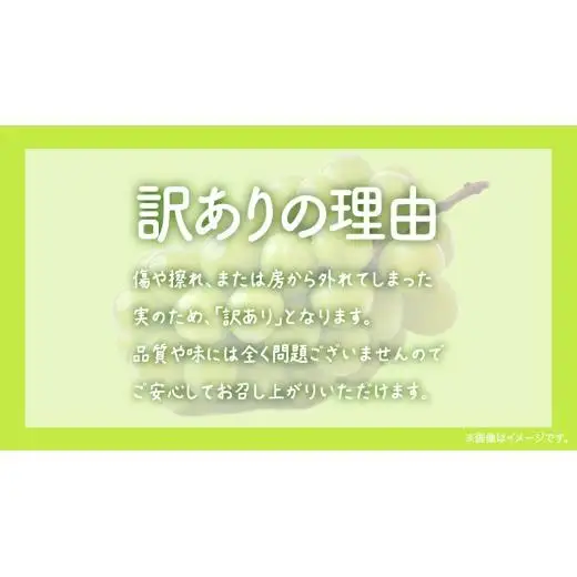 【 訳あり 】 シャインマスカット 4kg 【2026年8月発送開始】(茨城県共通返礼品：大子町)
