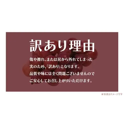 【 訳あり 】 ゴルビー 3kg 【2026年8月中旬発送開始】(茨城県共通返礼品：大子町)