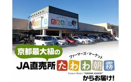 令和7年産 コシヒカリ 5kg 精米 白米