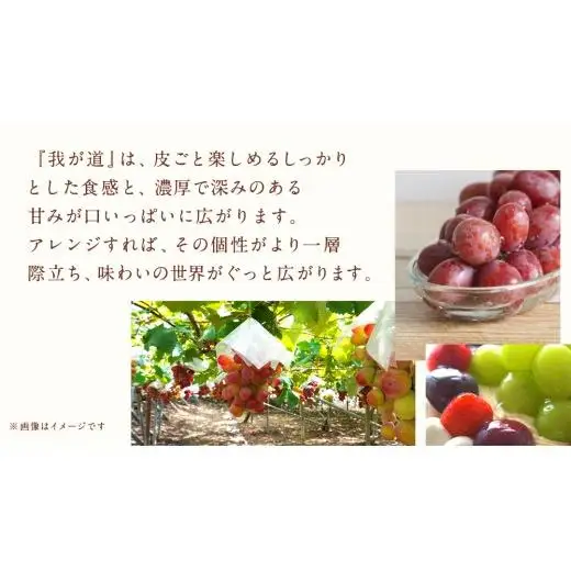 【 訳あり 】 我が道 3kg 【2026年9月発送開始】(茨城県共通返礼品：大子町)
