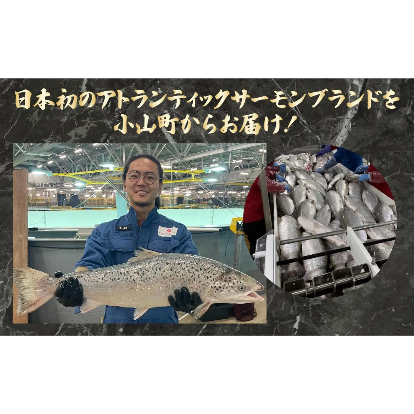 スモークサーモン・グラブラックス 食べ比べ 約100g×6P サーモン