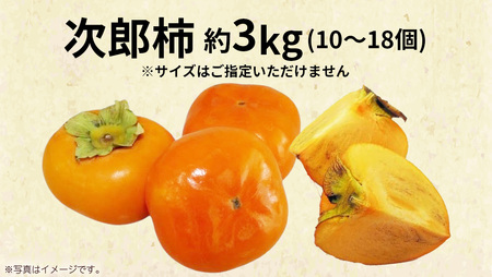 次郎柿 3kg 【2026年9月上旬発送開始】(茨城県共通返礼品：大子町)