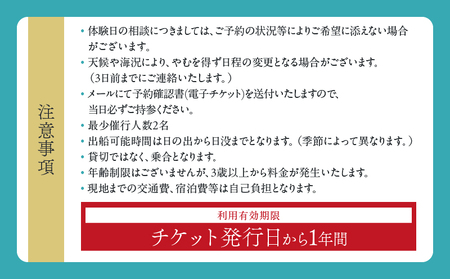 日南海岸観光 クルージング チケット 1枚 ペア 1組 体験チケット クルーズ体験 マリンアクティビティ体験 アウトドア ダイナミック 絶景スポット 楽しむ 遊覧船 旅行 記念日 観光 レジャー ギフト 贈り物 プロポーズ サプライズ 宮崎県 日南市 送料無料_H50-25