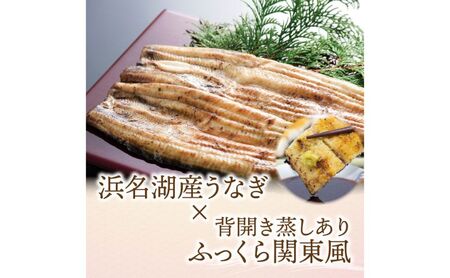 浜名湖産 うなぎ白焼 約140g×2尾入り うなぎ ウナギ 鰻 ブランドうなぎ 白焼 浜名湖 とろける ふっくら 香ばしい 旨味 肉厚 静岡 浜松市