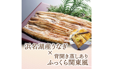 【12か月定期便】浜名湖産 うなぎ白焼　約140g×2尾入り　計12回 うなぎ ウナギ 鰻 ブランドうなぎ 白焼 浜名湖 とろける ふっくら 香ばしい 旨味 肉厚 静岡 浜松市