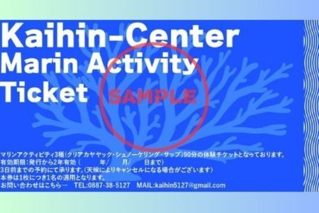 116024　マリンアクティビティ90分遊び放題プラン利用券（１名）マリンアクティビティ シュノーケリング アウトドア 海遊び 海 カヤック サップ SUP
