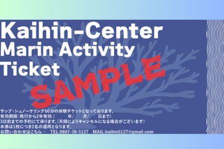116025　サップ+シュノーケリング60分遊び放題プラン利用券（１名） 期間限定 春 夏 秋 マリンアクティビティ シュノーケリング アウトドア 海遊び 海 サップ SUP
