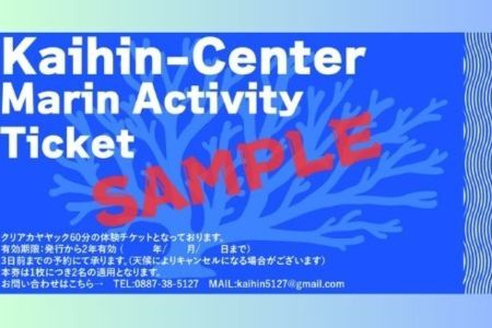 116026　クリアカヤック60分遊び放題プラン利用券 期間限定 春 夏 秋 マリンアクティビティ アウトドア 海遊び 海 カヤック