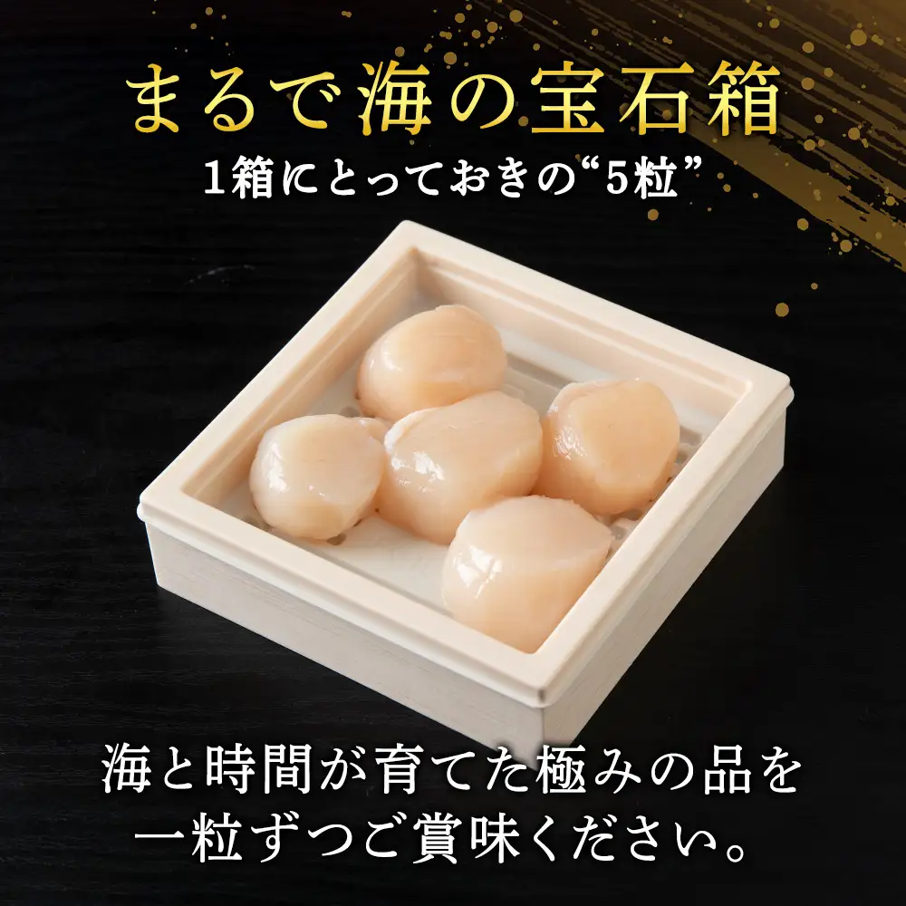 熟成濃縮ほたて貝柱(5玉入)×10