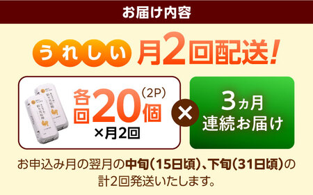 《月2回 × 20個 3ヶ月コース》 彩り天佑卵 全6回定期便 [AIDL021]
